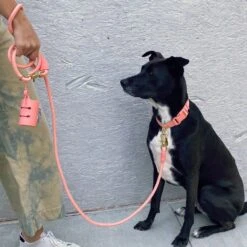 Recycled Infinity Dog Leash -Zero Waste Store awoo infinity leash 30611248709743