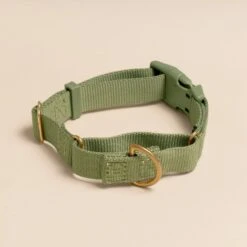Marty Dog Collar -Zero Waste Store awoo marty collar 30656007110767