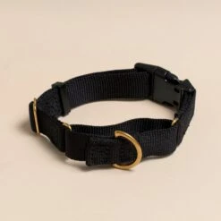 Marty Dog Collar -Zero Waste Store awoo marty collar 30656007143535
