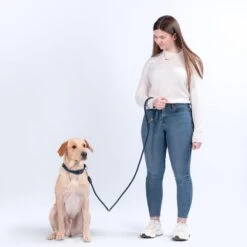 City Dog Leash -Zero Waste Store awoo pets city dog leash 34485929017455
