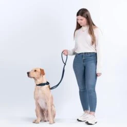 City Dog Leash -Zero Waste Store awoo pets city dog leash 34485929115759