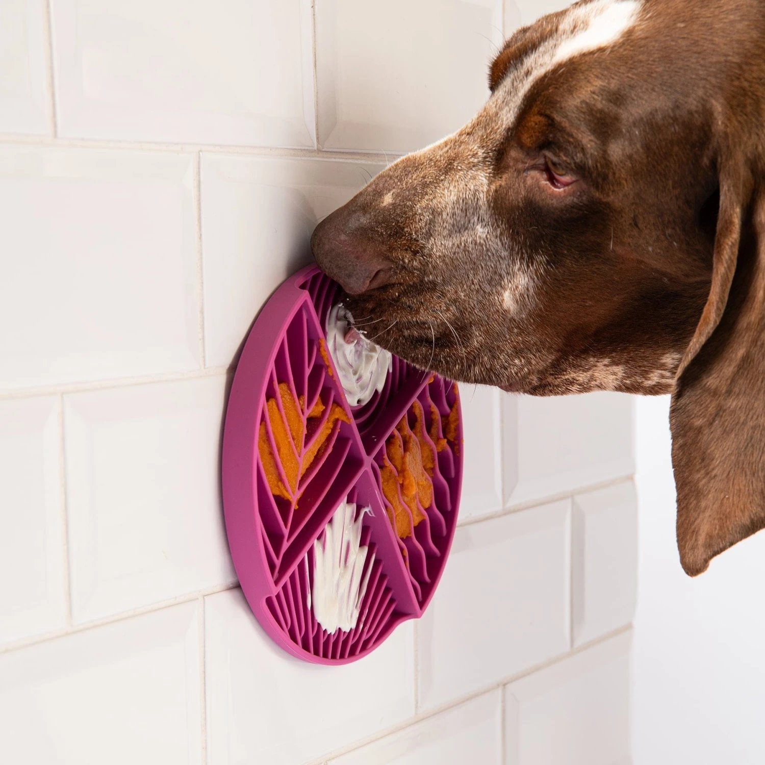 Paradise Lick Mat For Dogs 5 Paradise Lick Mat For Dogs - Image 5