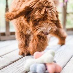 Handcrafted Felt Bone Dog Toy -Zero Waste Store awoo pets handcrafted felt bone dog toy 34124411633775