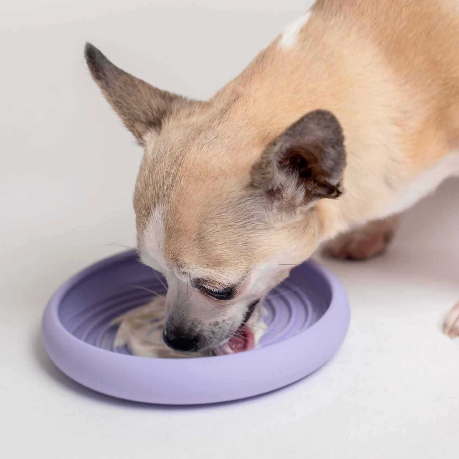 Lick Dish Slow Feeder For Dogs 2 Lick Dish Slow Feeder For Dogs - Image 2