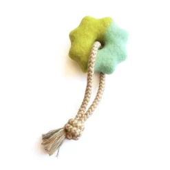 Wheely Good Time Felt Dog Toy -Zero Waste Store awoo pets lime aqua wheely good time felt dog toy 34473383133295