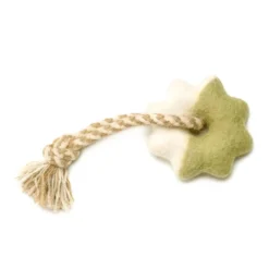 Wheely Good Time Felt Dog Toy -Zero Waste Store awoo pets limex wheely good time felt dog toy 34473382969455