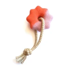 Wheely Good Time Felt Dog Toy -Zero Waste Store awoo pets orange pink wheely good time felt dog toy 34473383034991