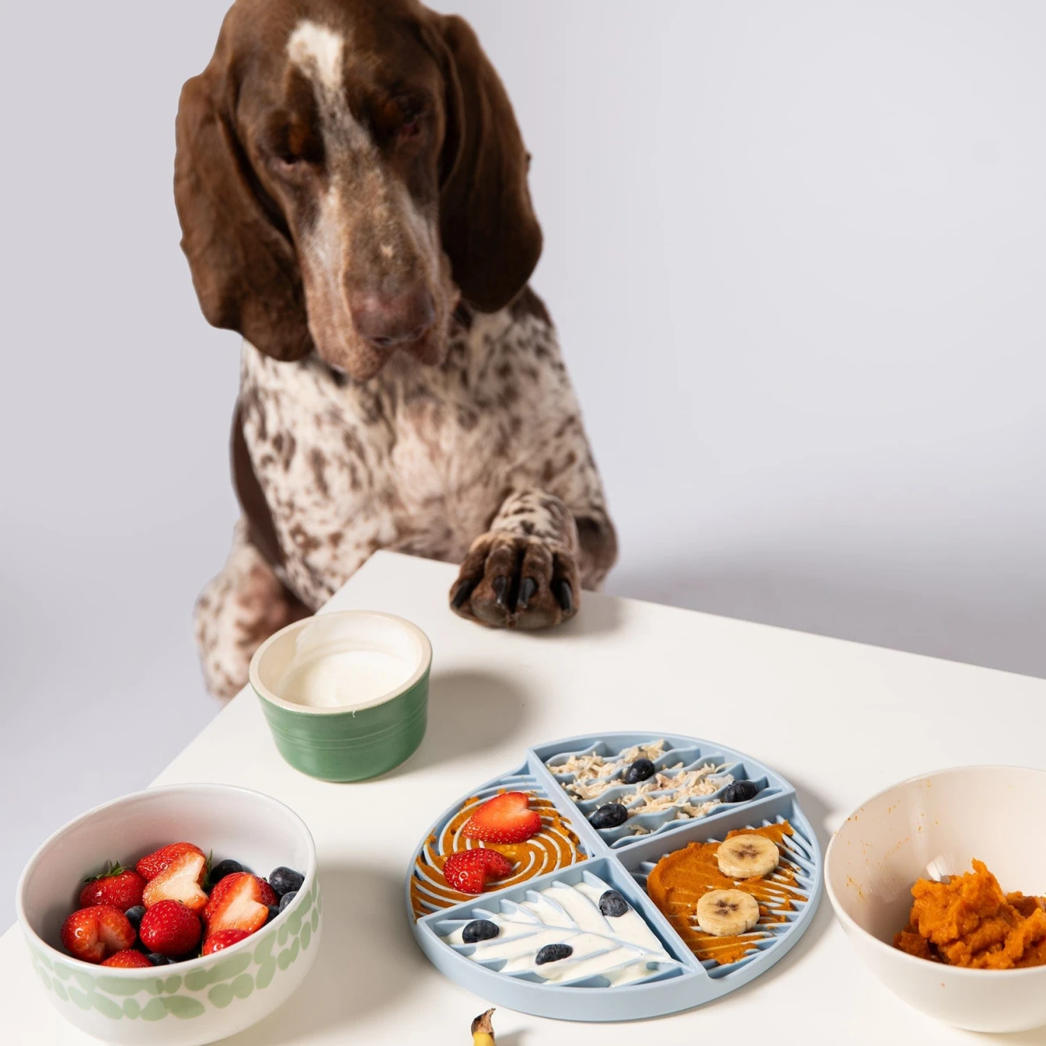 Paradise Lick Mat For Dogs 6 Paradise Lick Mat For Dogs - Image 6