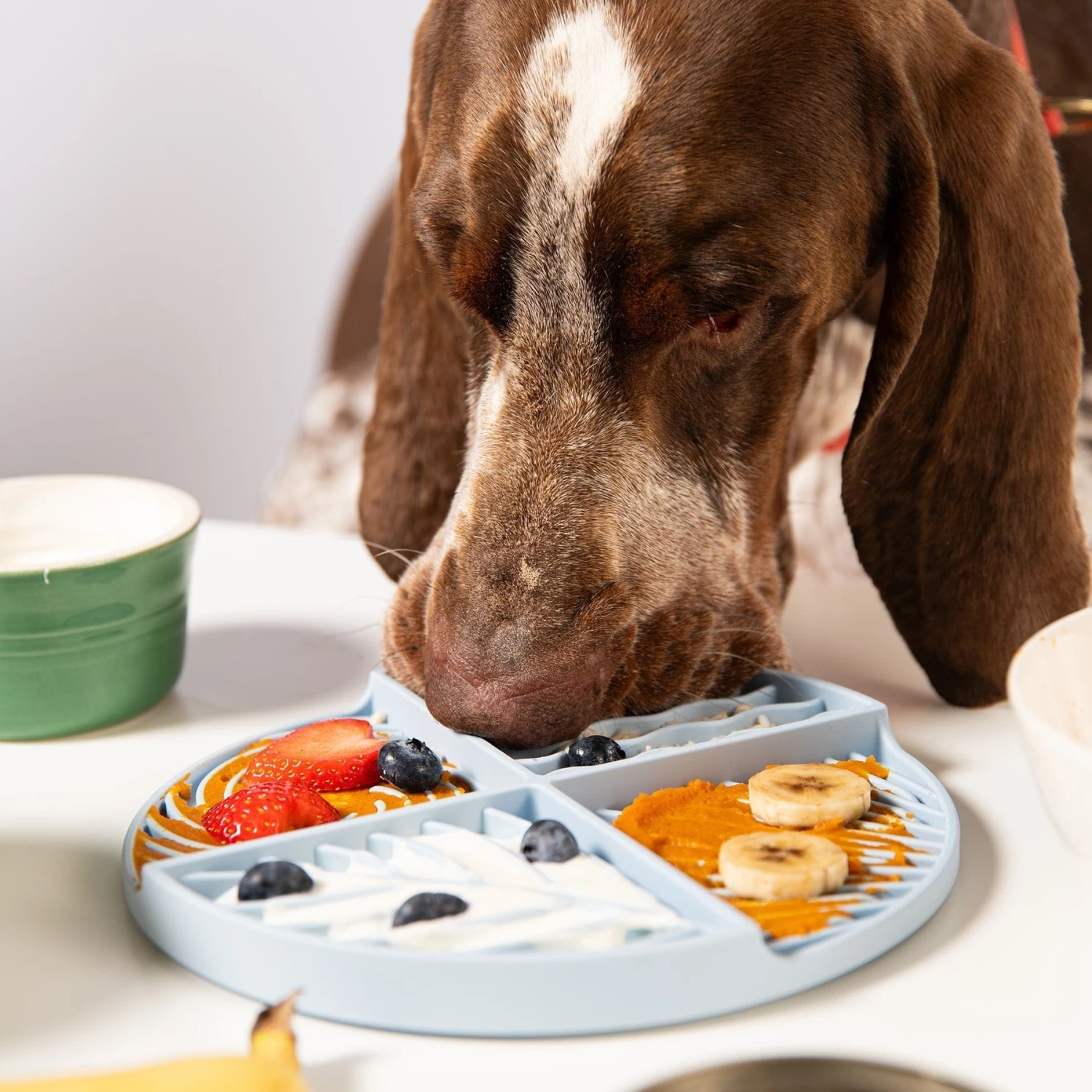 Paradise Lick Mat For Dogs 1 Paradise Lick Mat For Dogs