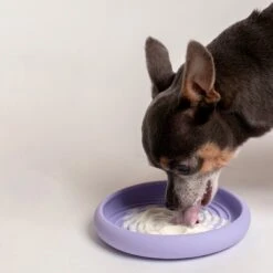 Lick Dish Slow Feeder For Dogs 11 Lick Dish Slow Feeder For Dogs -Zero Waste Store awoo pets peri lick dish slow feeder for dogs 34431889440879