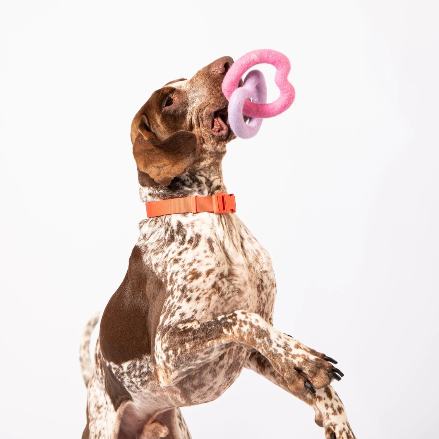 Sweethearts Felt Dog Toy 1 Sweethearts Felt Dog Toy