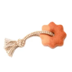 Wheely Good Time Felt Dog Toy -Zero Waste Store awoo pets tangerine wheely good time felt dog toy 34473383002223