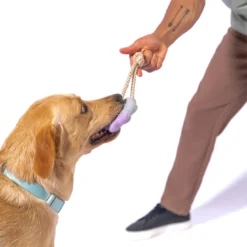 Wheely Good Time Felt Dog Toy -Zero Waste Store awoo pets wheely good time felt dog toy 34445846970479