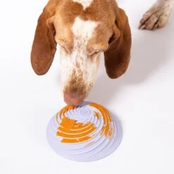 Wobbowl Lick & Slow Feeder Bowl For Dogs -Zero Waste Store awoo pets wobbowl lick slow feeder bowl for dogs 34445851951215