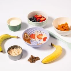 Wobbowl Lick & Slow Feeder Bowl For Dogs -Zero Waste Store awoo pets wobbowl lick slow feeder bowl for dogs 34445852016751