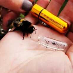 Bee Revival Kit - Butterfly & Bee Reviver, Keychain, Black Or Gold 34 Bee Revival Kit - Butterfly & Bee Reviver, Keychain, Black Or Gold -Zero Waste Store beevive bee revival kit butterfly bee reviver keychain black or gold 32409869123695
