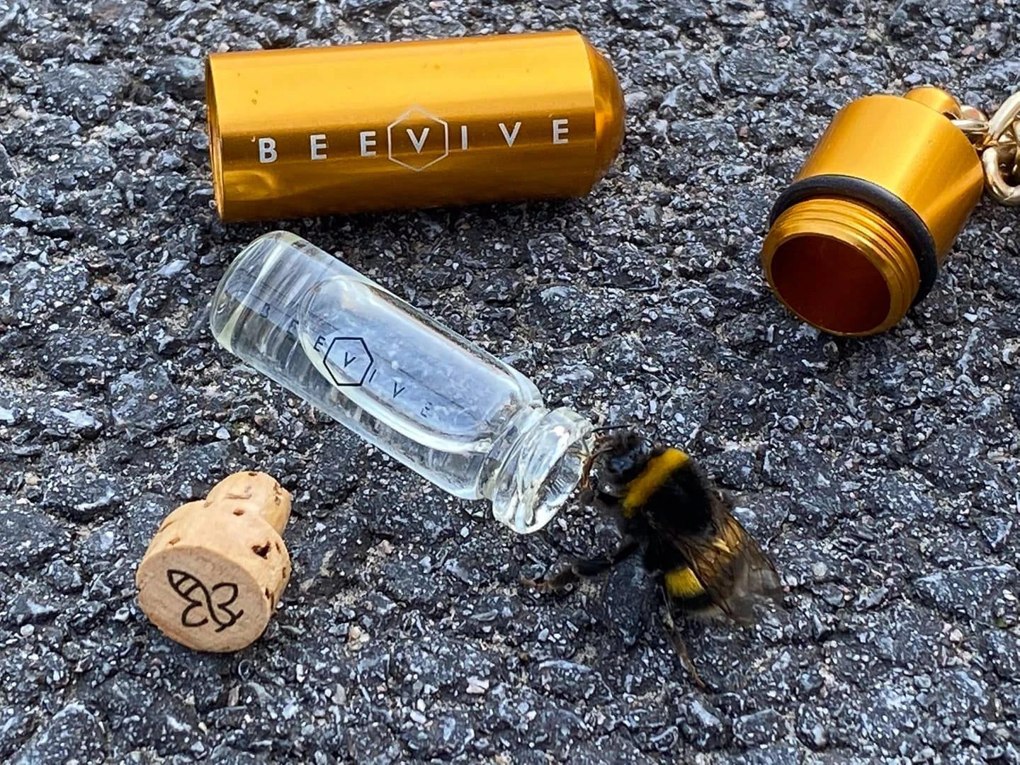Bee Revival Kit - Butterfly & Bee Reviver, Keychain, Black Or Gold 17 Bee Revival Kit - Butterfly & Bee Reviver, Keychain, Black Or Gold - Image 17