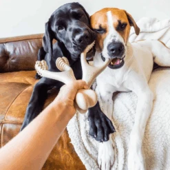 All Natural Dog Bone - Eco Friendly Dog Toy - Non-Splintering, Nylon Free -Zero Waste Store betterbone all natural dog bone chew 29932384223343