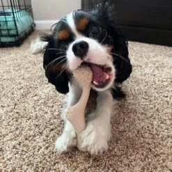 All Natural Dog Bone - Eco Friendly Dog Toy - Non-Splintering, Nylon Free -Zero Waste Store betterbone all natural dog bone eco friendly dog toy all natural non splintering nylon free 30986364911727