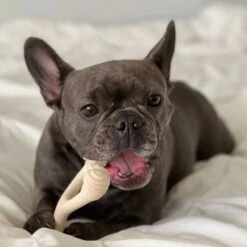 All Natural Dog Bone - Eco Friendly Dog Toy - Non-Splintering, Nylon Free -Zero Waste Store betterbone all natural dog bone eco friendly dog toy non splintering nylon free 32211420217455