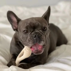 All Natural Dog Bone - Eco Friendly Dog Toy - Non-Splintering, Nylon Free -Zero Waste Store betterbone all natural dog bone eco friendly dog toy non splintering nylon free 32211420217455 scaled