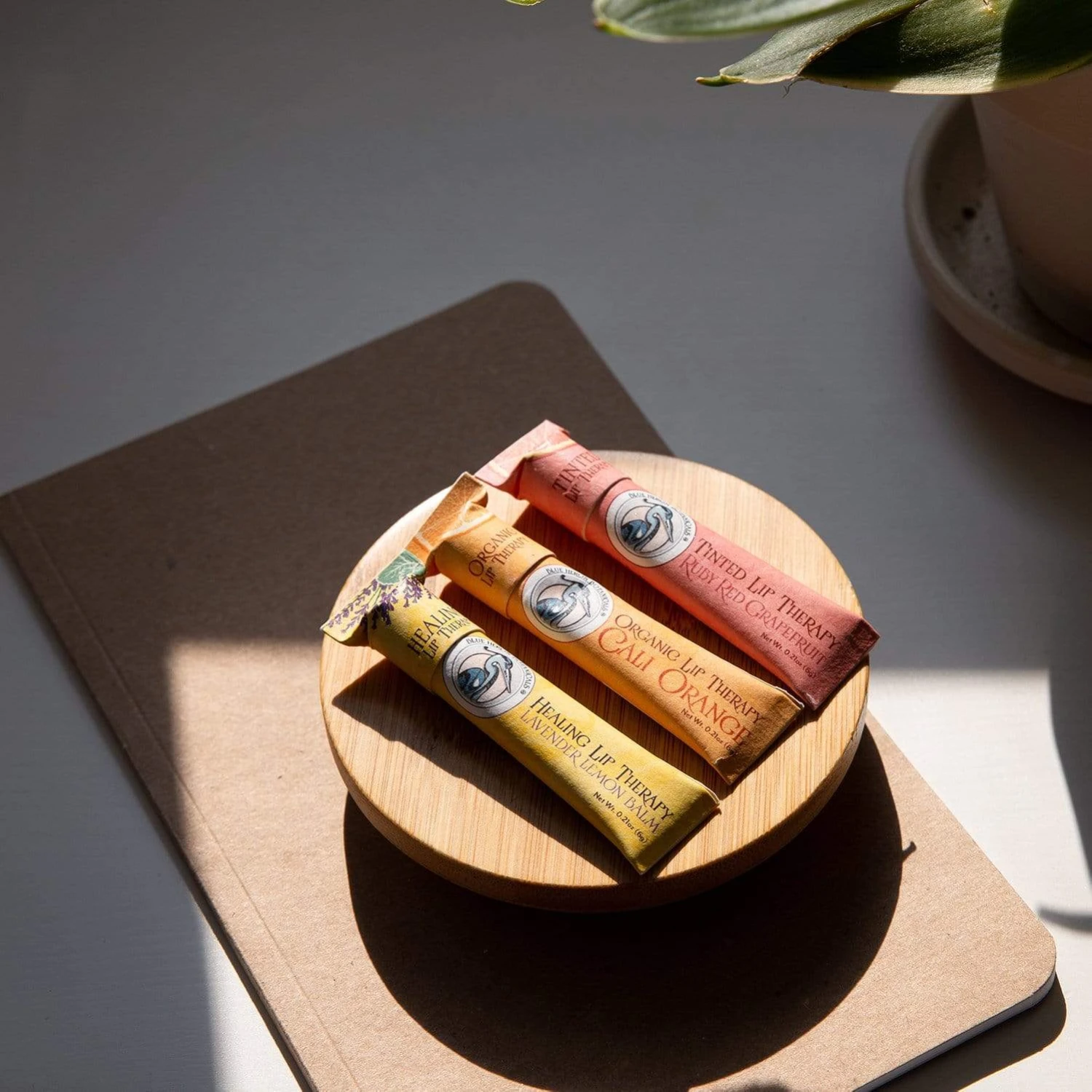 Lip Therapy Balm - Zero Waste Lip Balm, Plastic Free, Organic, Multiple Flavors 5 Lip Therapy Balm - Zero Waste Lip Balm, Plastic Free, Organic, Multiple Flavors - Image 5