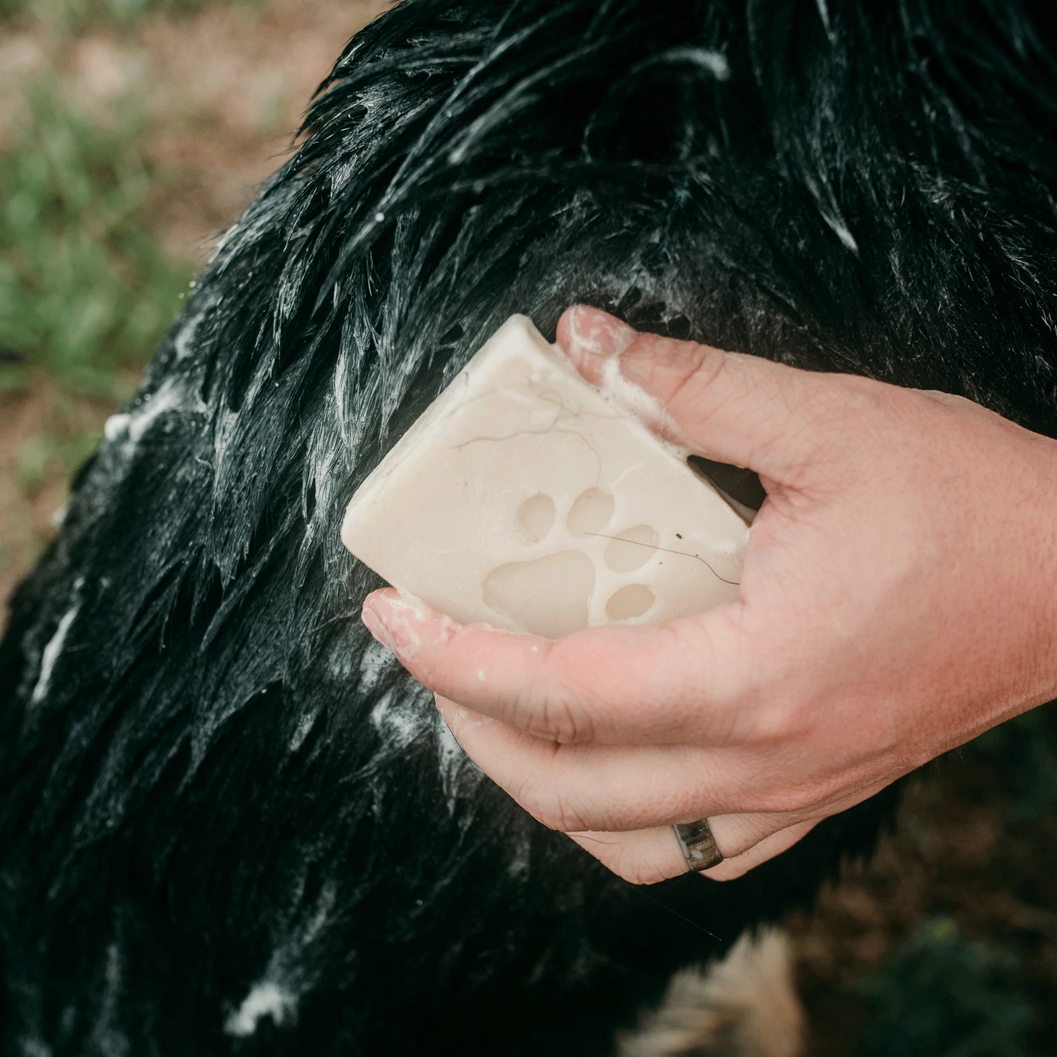Pet Shampoo Bar - Zero Waste Dog Shampoo, All Natural, Vegan, Plastic Free, 4oz 1 Pet Shampoo Bar - Zero Waste Dog Shampoo, All Natural, Vegan, Plastic Free, 4oz