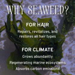 Cleanse Shampoo 10oz -Zero Waste Store captain blankenship cleanse shampoo 10oz 33332011892847