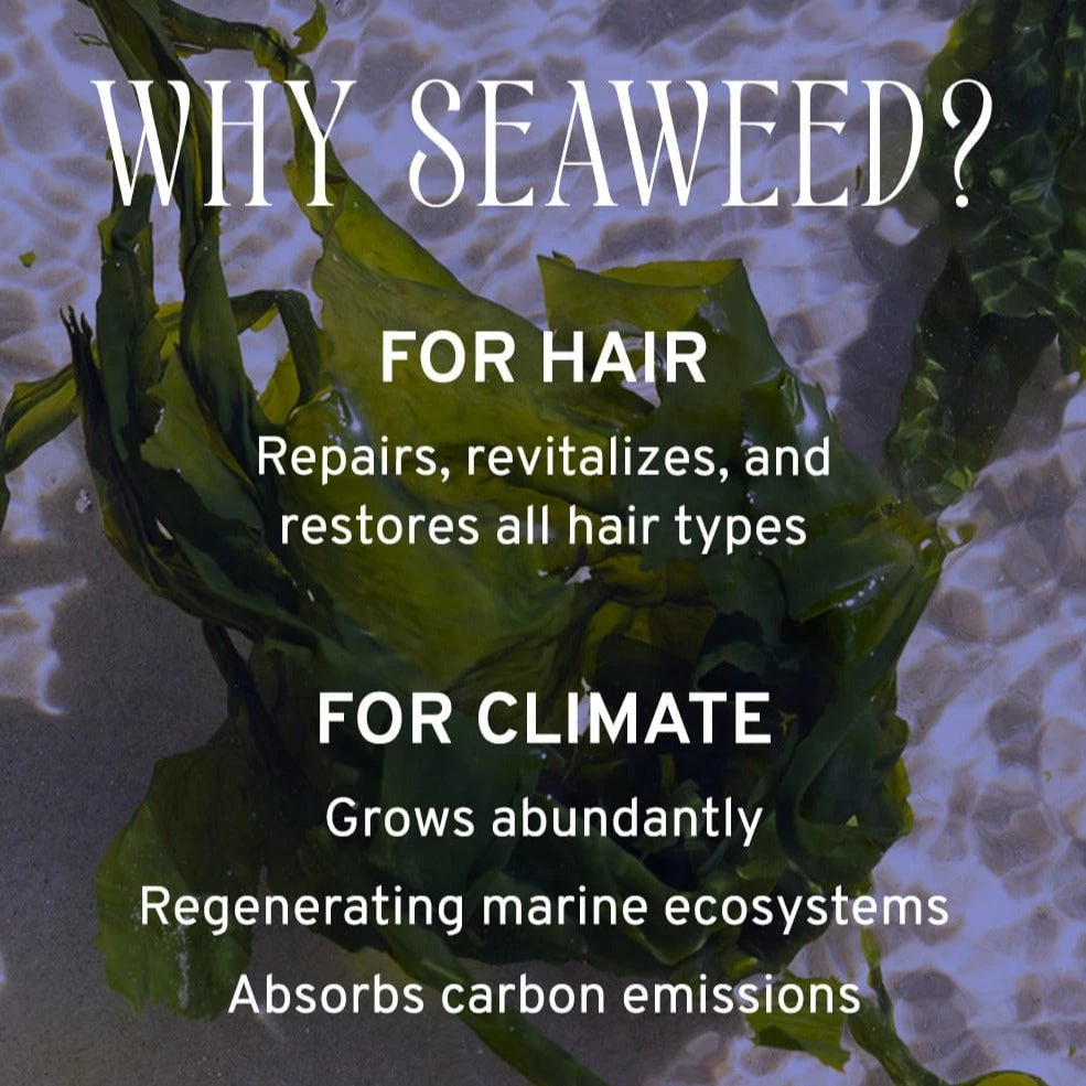 Hydrate Conditioner 10oz 5 Hydrate Conditioner 10oz - Image 5