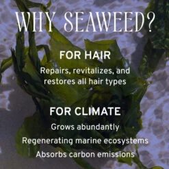 Nourish Hair & Scalp Serum 13 Nourish Hair & Scalp Serum -Zero Waste Store captain blankenship nourish hair scalp serum 33332011139183