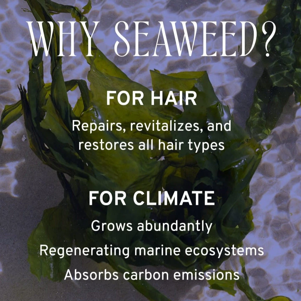 Nourish Hair & Scalp Serum 6 Nourish Hair & Scalp Serum - Image 6