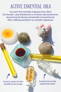 Refresh Dry Shampoo -Zero Waste Store captain blankenship refresh dry shampoo 34562248704111