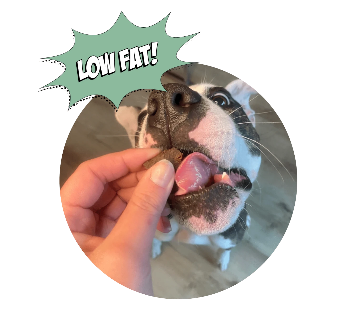 Fish Training Bites For Dogs, 2-pack 2 Fish Training Bites For Dogs, 2-pack - Image 2