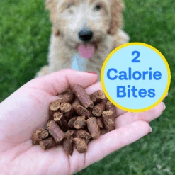 Fish Training Bites For Dogs, 2-pack 10 Fish Training Bites For Dogs, 2-pack -Zero Waste Store chippin fish training bites for dogs 2 pack 52906245456241