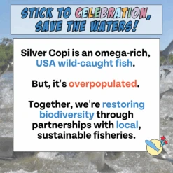 Skin & Coat Celebration Sticks -Zero Waste Store chippin skin coat celebration sticks 52906247651697