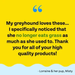 Veggie Dailies: Kale, Carrot, Spirulina- 2 Pack 15 Veggie Dailies: Kale, Carrot, Spirulina- 2 Pack -Zero Waste Store chippin veggie dailies kale carrot spirulina 2 pack 52906246439281