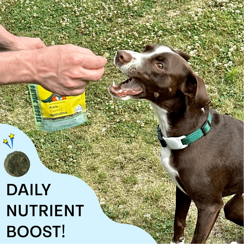 Veggie Dailies: Kale, Carrot, Spirulina- 2 Pack 6 Veggie Dailies: Kale, Carrot, Spirulina- 2 Pack - Image 6