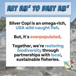 Wild-Caught Fish Jerky Dog Treats, 2-pack -Zero Waste Store chippin wild caught fish jerky dog treats 2 pack 52906245914993