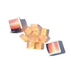 OASIS Skin Armor Block Refill, Mini Refill -Zero Waste Store dew mighty sample size 3 5g oasis skin armor block refill mini refill sample size 34586088800367