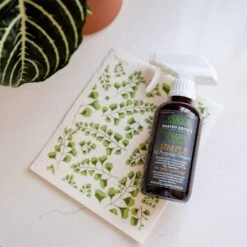 All-Purpose Cleaner Spray - All Natural Cleaner, Refillable Disinfectant, Vegan, Multipurpose