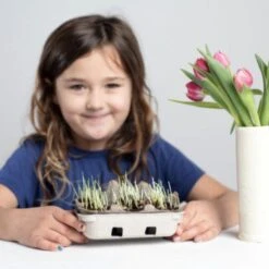 Egg Coloring Kit -Zero Waste Store eco kids egg coloring kit 32727102390383