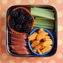 Stainless Steel Solo Cube Food Container -Zero Waste Store ecolunchbox stainless steel cube container 33107754811503