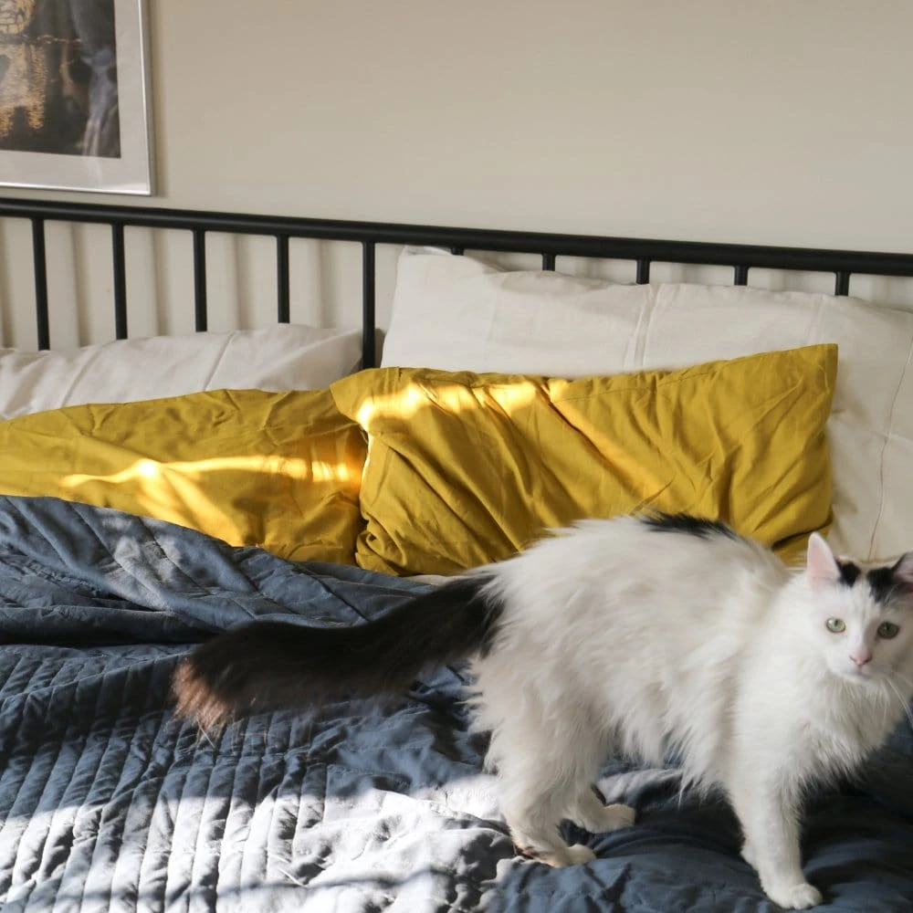 Linen+ Quilted Coverlet 9 Linen+ Quilted Coverlet - Image 9