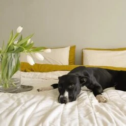 Linen+ Quilted Coverlet 13 Linen+ Quilted Coverlet -Zero Waste Store ettitude linen quilted coverlet 33996734988399