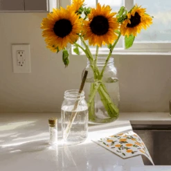 Water Filter - Plastic Free Water Filter, Water Purification, 6 Months, 264 Gal. Water -Zero Waste Store gopure pod gopure pod water filter plastic free purification zero waste travel circular 30212797137007