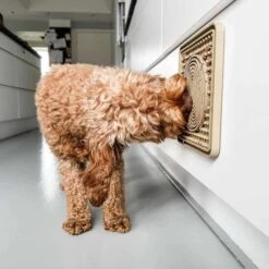 Hevea Dog Licking Mat -Zero Waste Store hevea dog licking mat 33451311890543