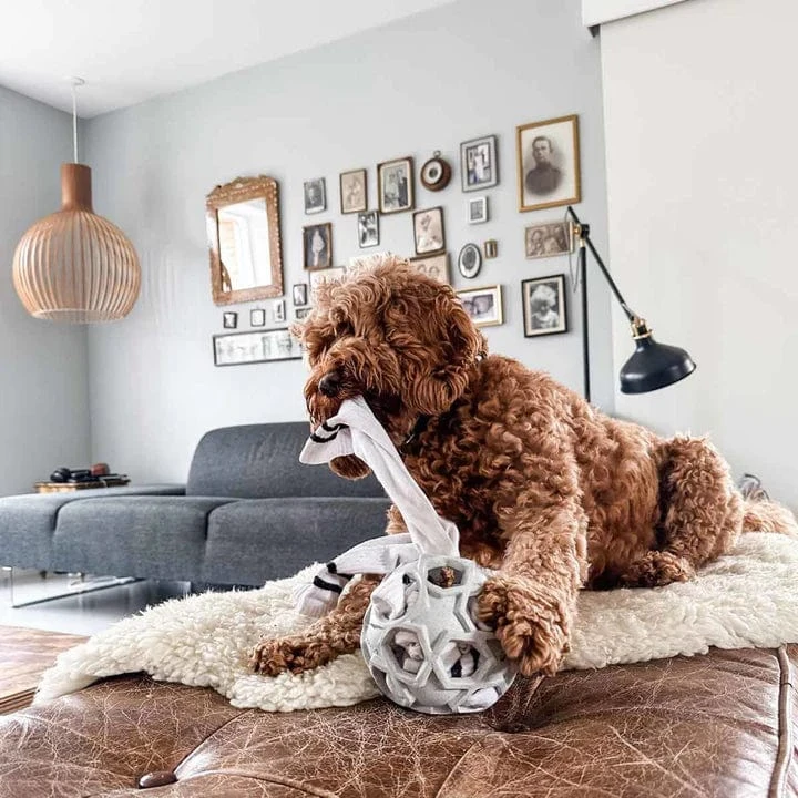 Hevea Enrichment & Fetch Dog Toy 1 Hevea Enrichment & Fetch Dog Toy