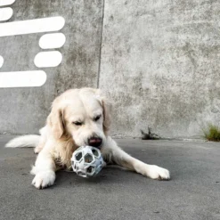 Hevea Enrichment & Fetch Dog Toy 9 Hevea Enrichment & Fetch Dog Toy -Zero Waste Store hevea enrichment fetch dog toy 33451440832623