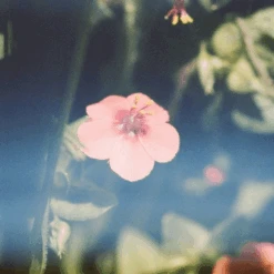 Ceramic Essential Oil Diffuser -Zero Waste Store juniper ridge adobe ceramic essential oil diffuser 52875255513457