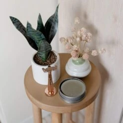 Fixed Head Twig Safety Razor -Zero Waste Store leaf shave fixed head twig safety razor sustainable razor all metal construction single blade multiple colors 30471073267823